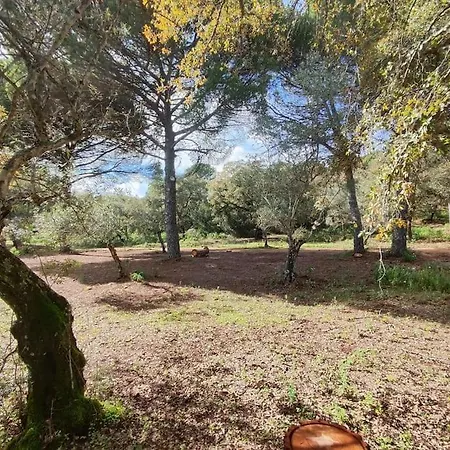 El Lagar De Val Raigon Cordoba